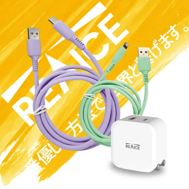 【REAICE】PD20W 雙孔1A1C充電頭+USB-A to Lightning充電線+USB-A &Type-C充電線 充電套組