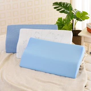 【LooCa】均一價-外銷日本專利記憶枕頭2入(三款任選)