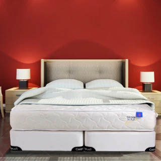 【德泰】頂級飯店獨立筒 彈簧床墊-雙人5尺(送保潔墊)