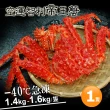 【優鮮配】特大級急凍智利帝王蟹1隻(約1.4-1.6kg/隻)