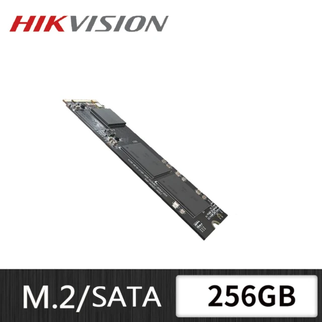 HIKVISION 海康 E100NI 256GB SSD(