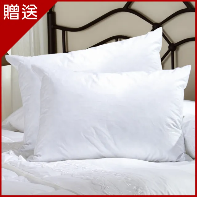 【LooCa】送枕x2-吸濕排汗12cm記憶床墊(加大6尺)