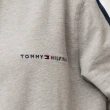 【Tommy Hilfiger】男版 手臂國旗串標胸前刺繡小標LOGO 帽T 無刷毛 長袖 連帽長袖(秋冬新品)