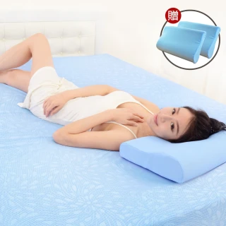 【LooCa】吸濕排汗超透氣12cm記憶床墊(雙人5尺-送記憶枕X2)