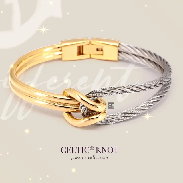 【CHARRIOL 夏利豪】Bangle Celtic KNOT雙色手環 金色鋼鐲+銀鋼索S款-加雙重贈品 C6(04-104-1277-0-S)