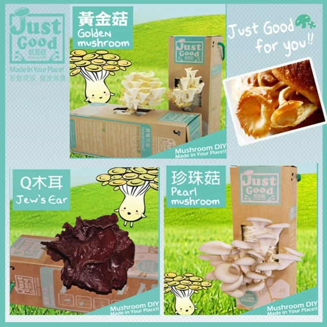 【Just Good 就是菇】人氣太空包菇菇 5盒裝(新奇、好吃又好玩！)
