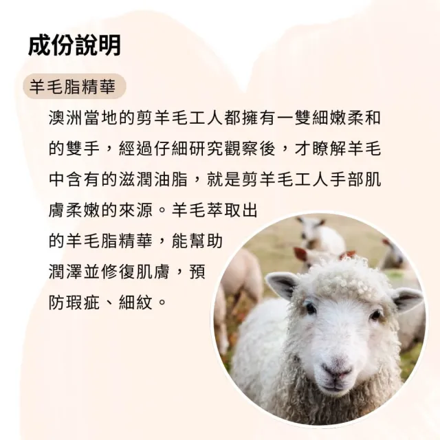 【Healthy care】羊毛脂維他命E滋潤霜 3入 100g/入(綿羊霜/綿羊油/澳洲原裝進口/原廠公司貨)