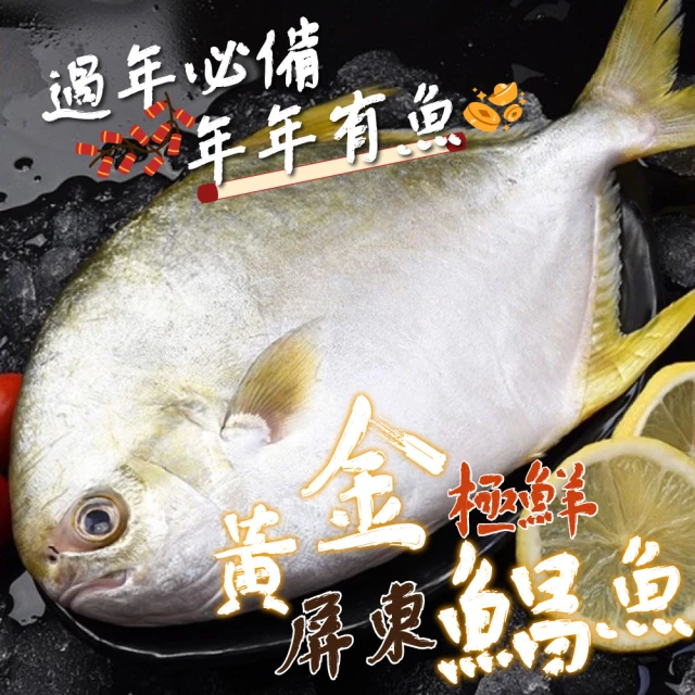 一手鮮貨 東港直送鮮嫩黃金鯧魚(2尾組/單尾殺清前500g/