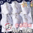 【一手鮮貨】野生大白鯧(2尾組/單尾500-600g)