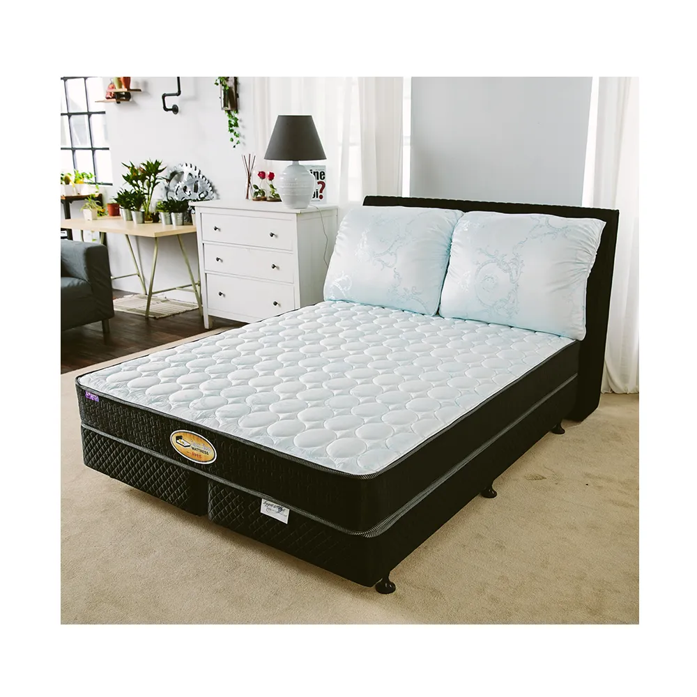 【床的世界】美國首品麗緻系列護背式彈簧床墊 - 特大  6 X 7 尺