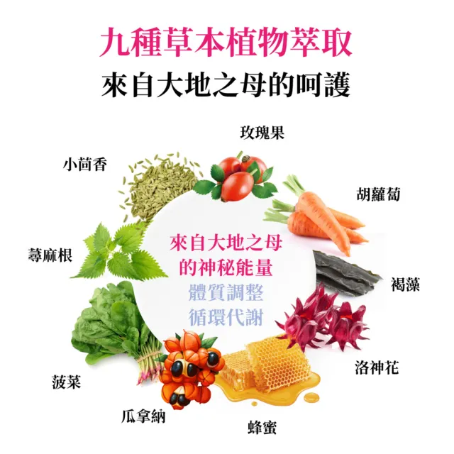 【vigoway 威客維】醇萃活鐵補精 15ml*10支/盒
