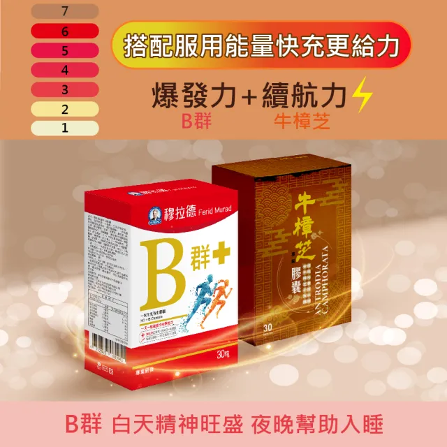 【穆拉德】B+群一氧化氮強化膠囊3入組(共90顆;紅景天、五味子、牛磺酸、精胺酸)