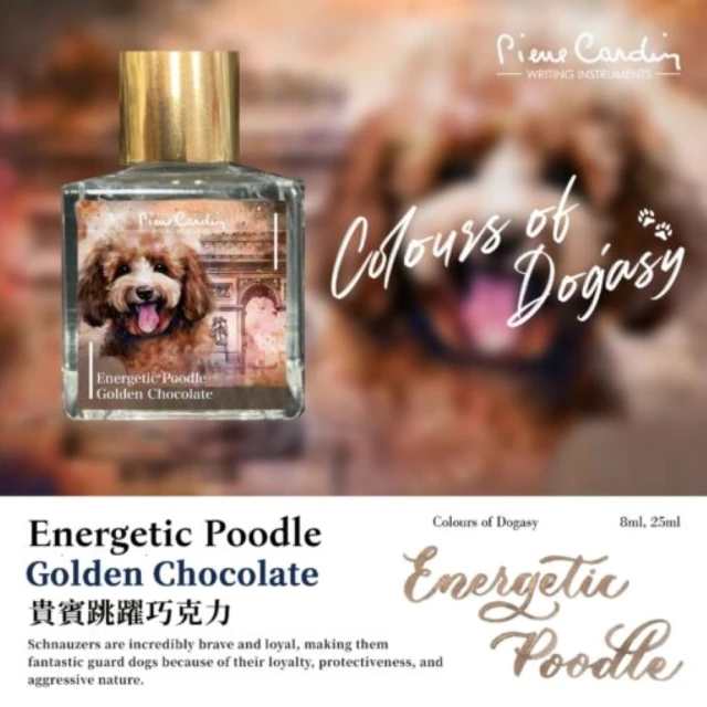 pierre cardin 皮爾卡登 愛犬閃粉系列 精力充沛的貴賓犬金色巧克力(墨水)