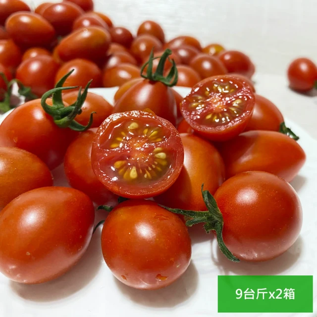 高雄岡山嚴選 網室聖女小番茄9斤x2箱(產地直送)