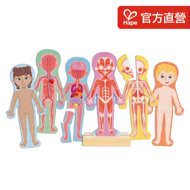 Hape 人體認知磁力拼圖(生日禮物/益智玩具/科學啟蒙教具)