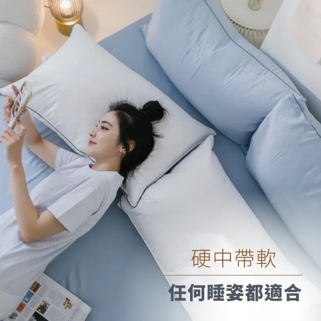 iDOWN BEDDING】灰條舒適羽毛枕2入組(屬於中低枕、躺起來硬實感