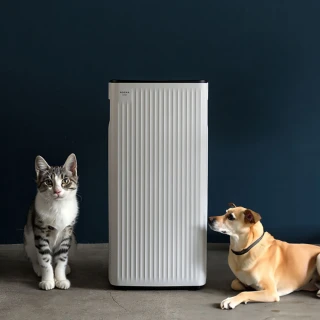 【POIEMA】ONE PET 寵物空氣淨化器/空氣清淨機(無耗材/8-15坪/AI語音助理/PM2.5自動偵測/免耗材/寵物毛髮)
