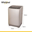 【Whirlpool 惠而浦】12公斤◆直立式洗衣機(WM12KW)