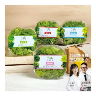 【NICE GREEn 美蔬菜】美蔬菜盒4入含運組送4包沙拉醬(萵苣 生菜 沙拉 蔬菜 防疫健康組)
