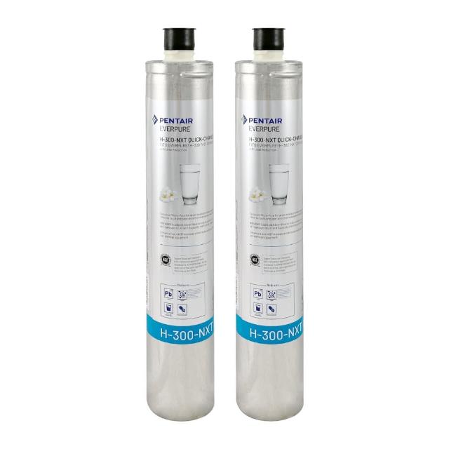 【濱特爾】EVERPURE 美國原裝進口濾心(H300NXT   2入裝  平輸品)