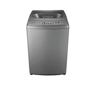 【TECO 東元】15kg DD直驅變頻直立式洗衣機(W1569XS)