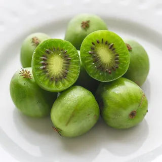 【每日宅鮮】Kiwi berry 奇異果寶寶-紐西蘭迷你奇異果(125g／盒±5% x5盒 免運)