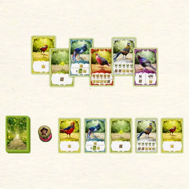 【新天鵝堡桌遊】賞鳥達人-三盒組(支援6人遊戲)