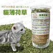 【寵物夢工廠】買一瓶送一瓶 / 貓薄荷草 台灣在地農場製造 貓草 幫助腸道蠕動(貓零食)