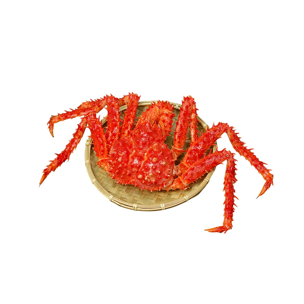 【優鮮配】魔獸級巨大智利超大帝王蟹1隻(約2.6~2.8kg/隻)