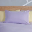 【YVONNE 以旺傢飾】100%美國純棉被套+枕套組-恐龍網球 薰衣草紫(雙人)