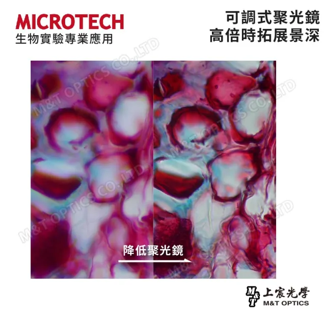 【MICROTECH】LX100-LED 生物顯微鏡(中小學教師等級生物顯微鏡/原廠保固一年)