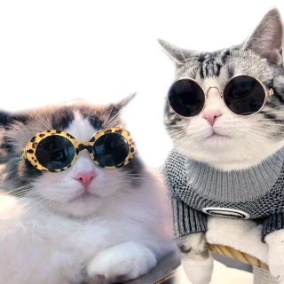 【樂寵】2入組 寵物趣味墨鏡 太陽眼鏡(五條老師 咒術同款 貓咪 馬爾濟斯 約克夏 吉娃娃)