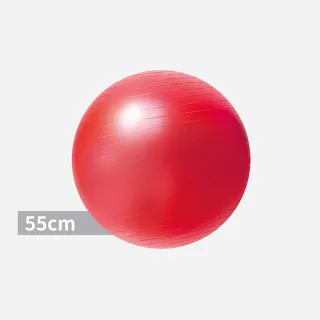 【台灣橋堡】55cm 頂級 防爆 瑜珈球 贈 高級雙向打氣筒(SGS 認證 100% 台灣製造 不黏膩 無毒無臭)