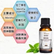 【Warm】森林浴系列單方純精油-歐薄荷100mlx2+茶樹30ml(提神醒腦+控油調理)