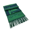 【Hermes 愛馬仕】H394800T 04 經典羊毛Camails Jacquard雙面編織流蘇圍巾(綠色)