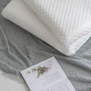 【MONTAGUT 夢特嬌】天絲乳膠枕-標準加大型(2入)
