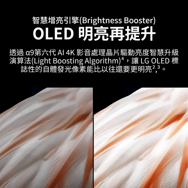 【LG 樂金】42型OLED evo C3極致系列 4K AI物聯網智慧電視(OLED42C3PSA)