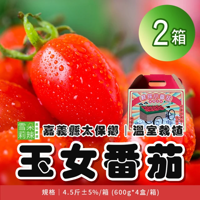 雪莉朵辣 嘉義太保玉女番茄4.5斤/箱x2箱
