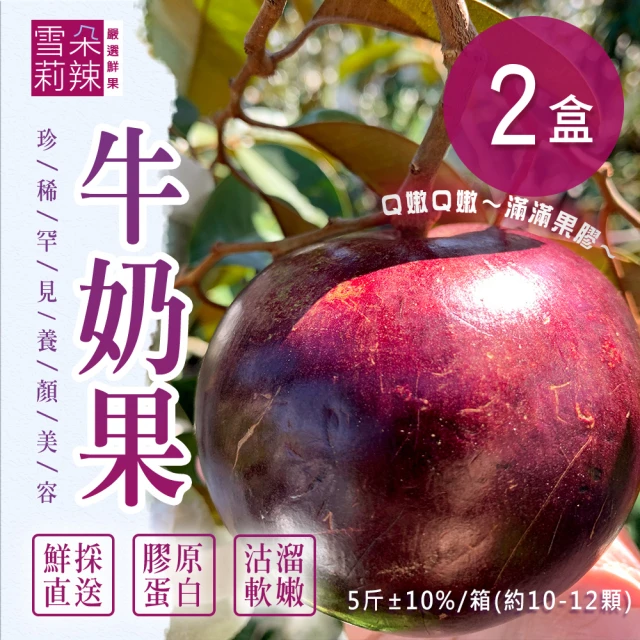 木瓜型農 屏東六堆 日陞品種木瓜3公斤裝X2箱(產銷履歷/約