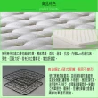 【ESSE御璽名床】乳膠紓壓2.5硬式彈簧床墊(雙人加大)