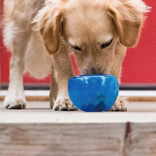 【Planet Dog】Snoop耐咬埋鼻缽 寵物玩具 S 小型犬適用 4色任選 藏食 益智 慢食 狗玩具