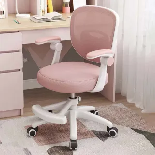 【坐得正】電腦椅 有腳踏款式 人體工學椅 升降椅 電競椅 旋轉椅(OA560 有腳踏)