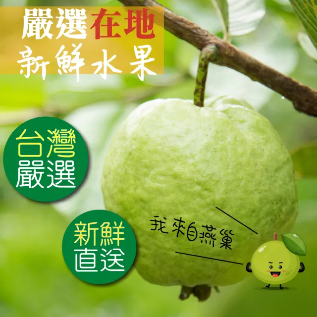 【甜園】燕巢芭樂乾-150gx3包(★無添加物★芭樂乾★天然水果乾)