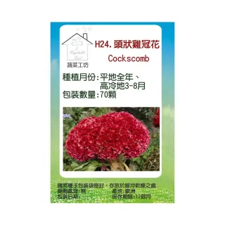 【蔬菜工坊】H24.頭狀雞冠花種子(紅色、高40-60cm)