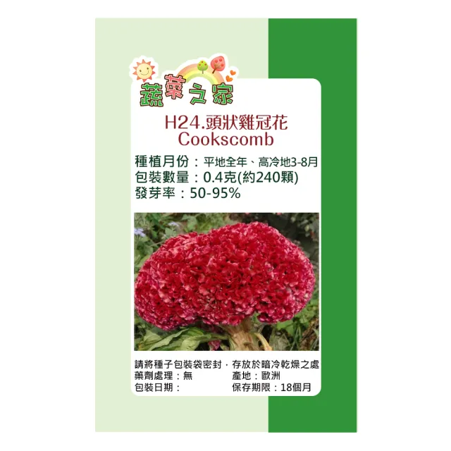 【蔬菜工坊】H24.頭狀雞冠花種子(紅色、高40-60cm)