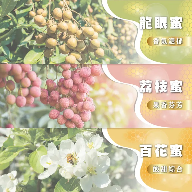 【真豐巢】100%台灣純蜂蜜1200g/桶 任選(龍眼/荔枝/百花)