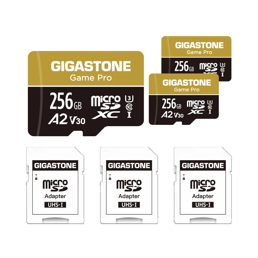 【GIGASTONE 立達】microSDXC UHS-Ⅰ U3 A2V30 256GB遊戲高速記憶卡-3入組(支援Switch/GoPro)