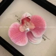 【ANGEL】漸層蝴蝶蘭花朵珍珠絹布女款髮夾髮飾(10款可選)