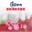 【Parodontax 牙周適】基礎系列 牙齦護理牙膏 80gX3入(深層潔淨)
