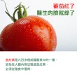 【梁衫伯】台灣製造南瓜子茄紅素複方素食膠囊升級版30粒/入(保健食品 龍頭鎖緊 順暢自在 滋補強身)